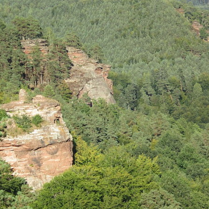Photo de Château du Petit-Arnsberg