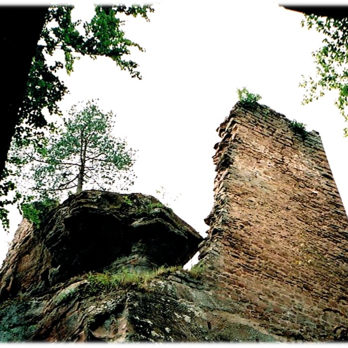 Photo de Château du Petit-Arnsberg