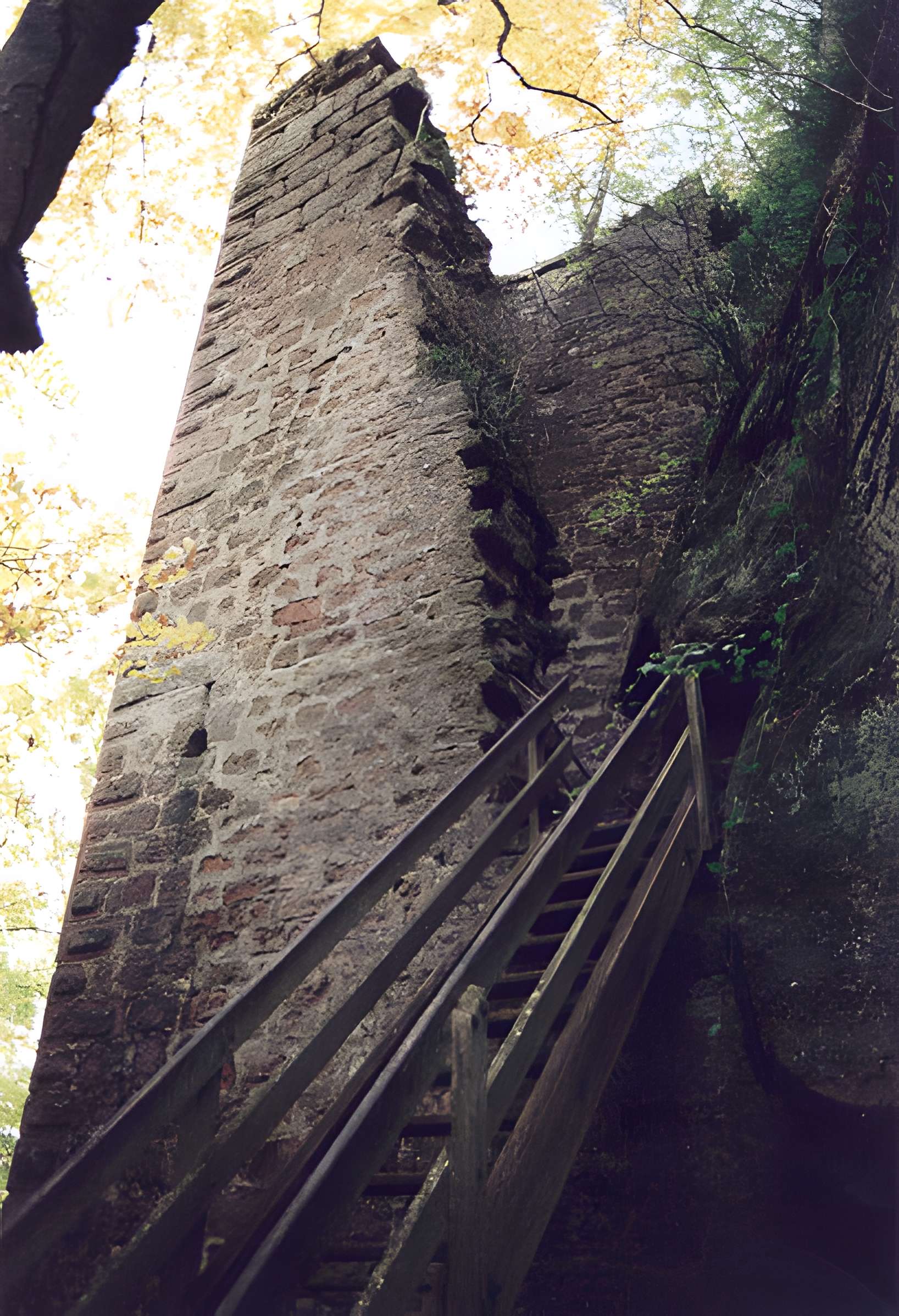 Château du Petit-Arnsberg