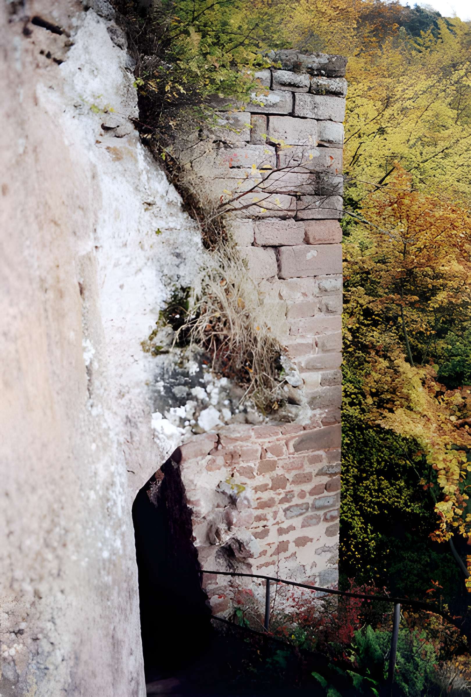 Château du Petit-Arnsberg