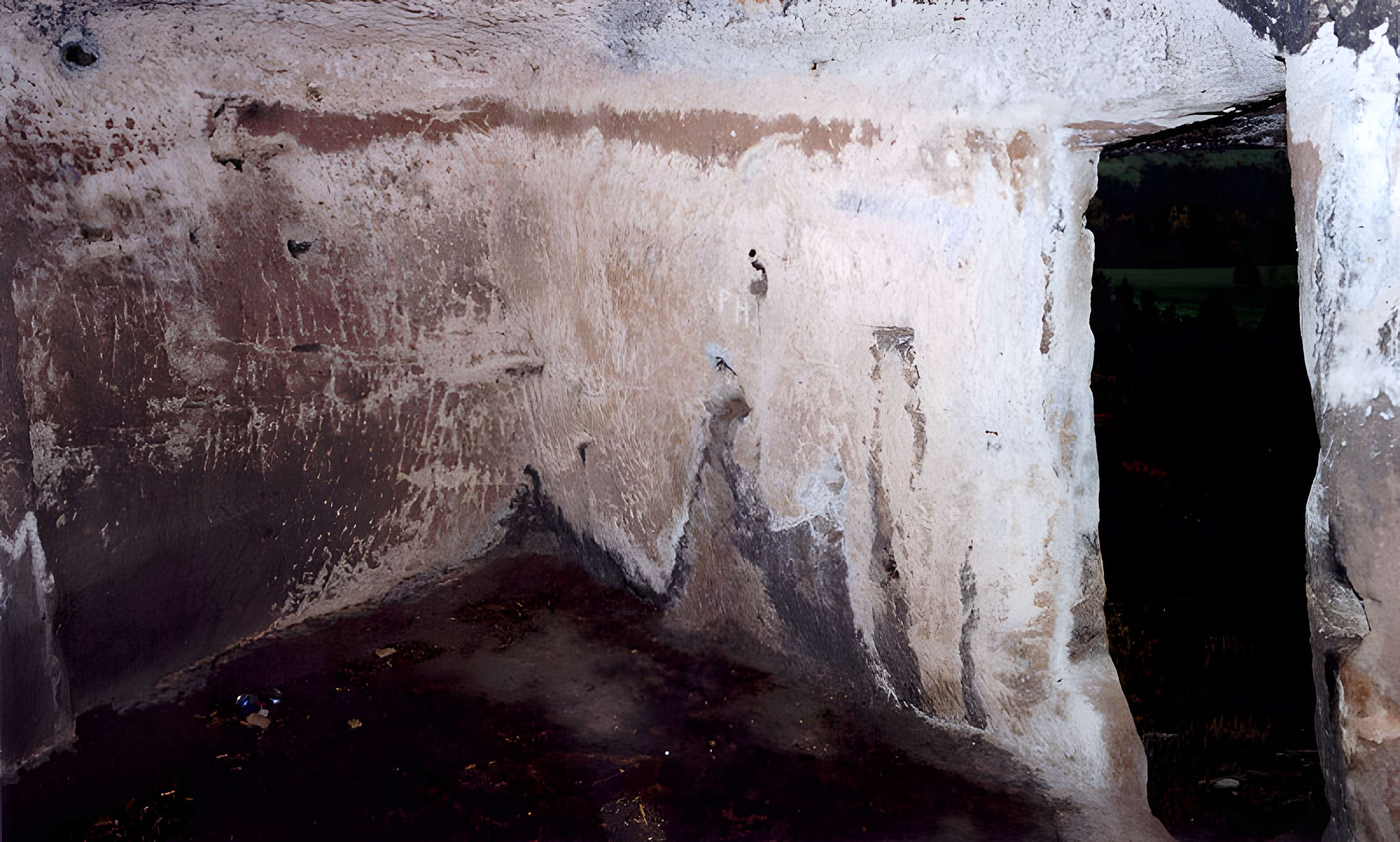 Château du Petit-Arnsberg