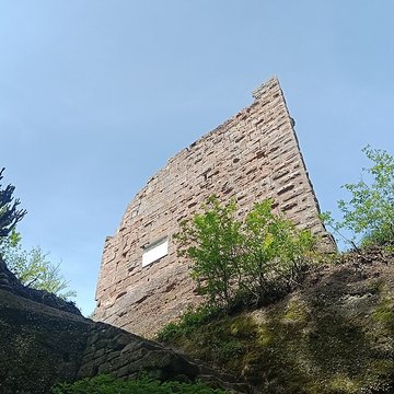 Ruines du château du Petit-Geroldseck