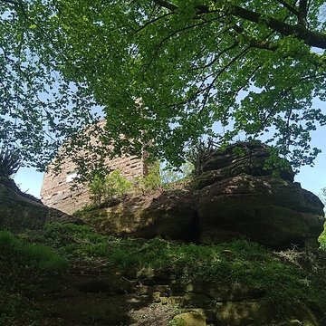 Ruines du château du Petit-Geroldseck