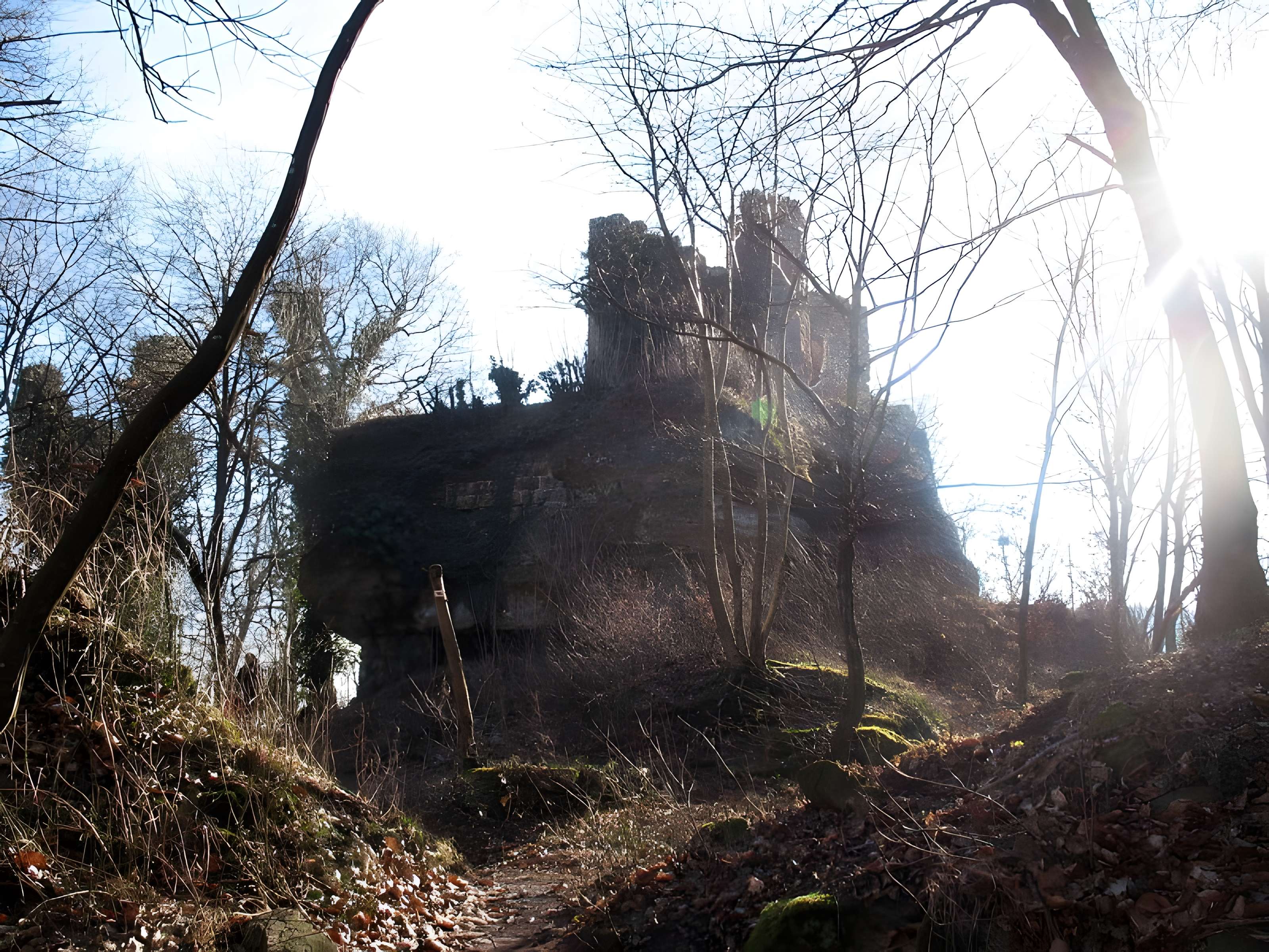 Château du Petit-Geroldseck 
