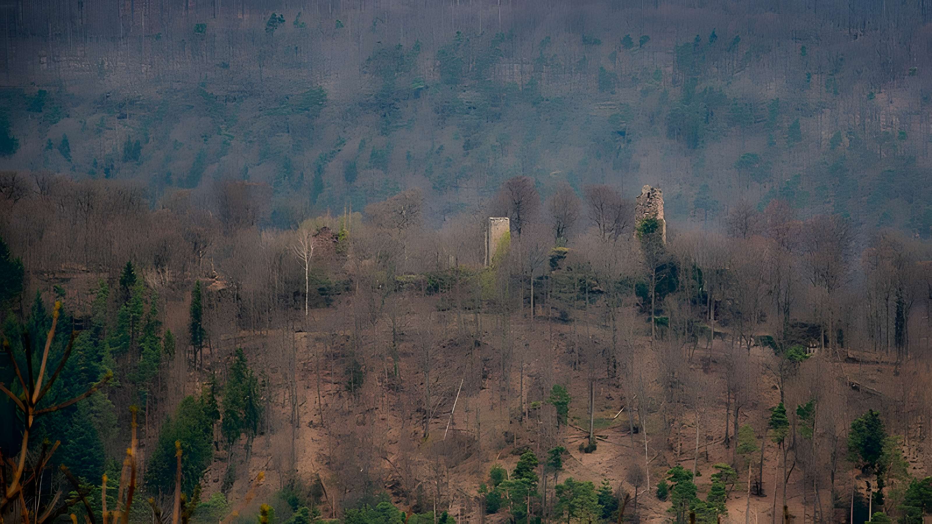 Ruines du château du Petit-Geroldseck