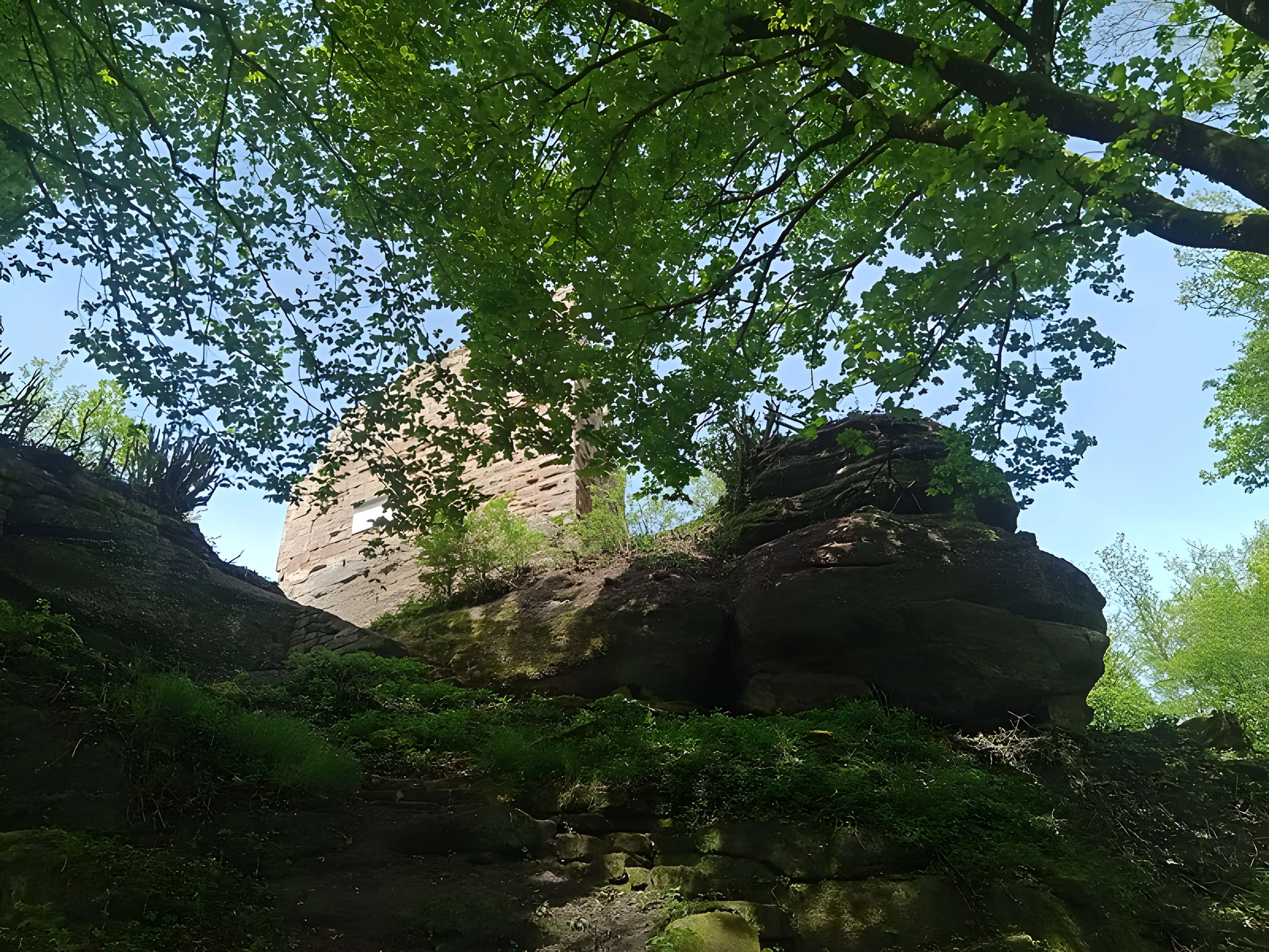Ruines du château du Petit-Geroldseck