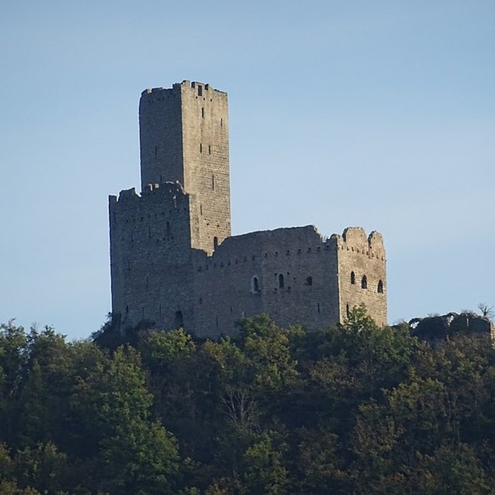 Photo de Ruines des châteaux de Ortenbourg et de Ramstein