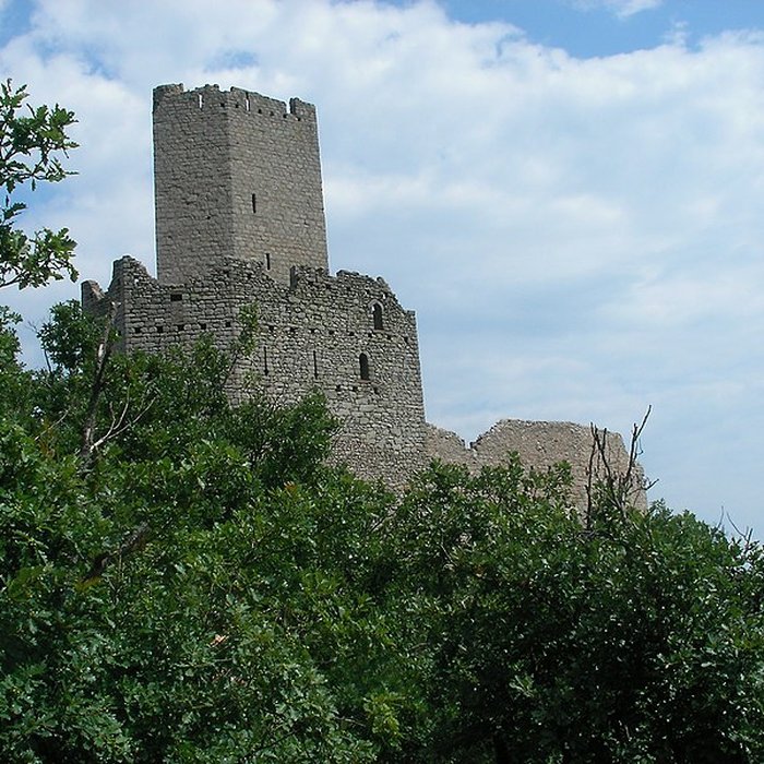 Photo de Ruines des châteaux de Ortenbourg et de Ramstein