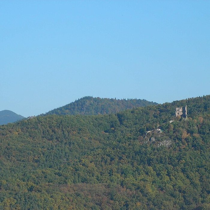 Photo de Ruines des châteaux de Ortenbourg et de Ramstein