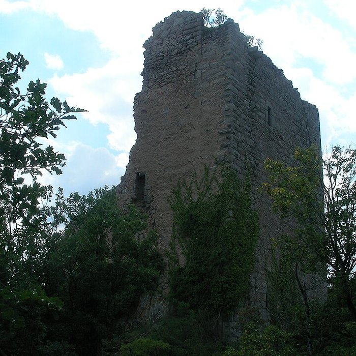Photo de Ruines des châteaux de Ortenbourg et de Ramstein