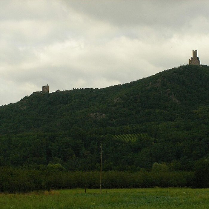 Photo de Ruines des châteaux de Ortenbourg et de Ramstein