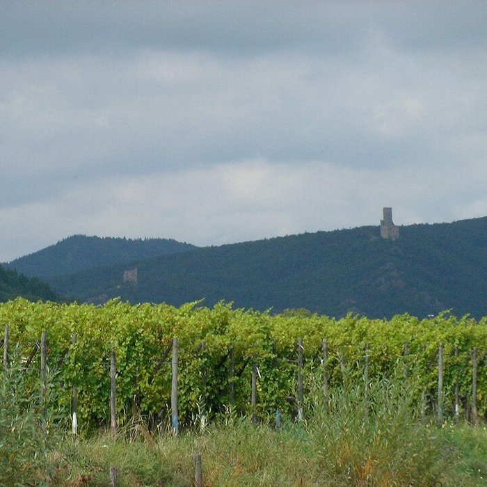 Photo de Ruines des châteaux de Ortenbourg et de Ramstein