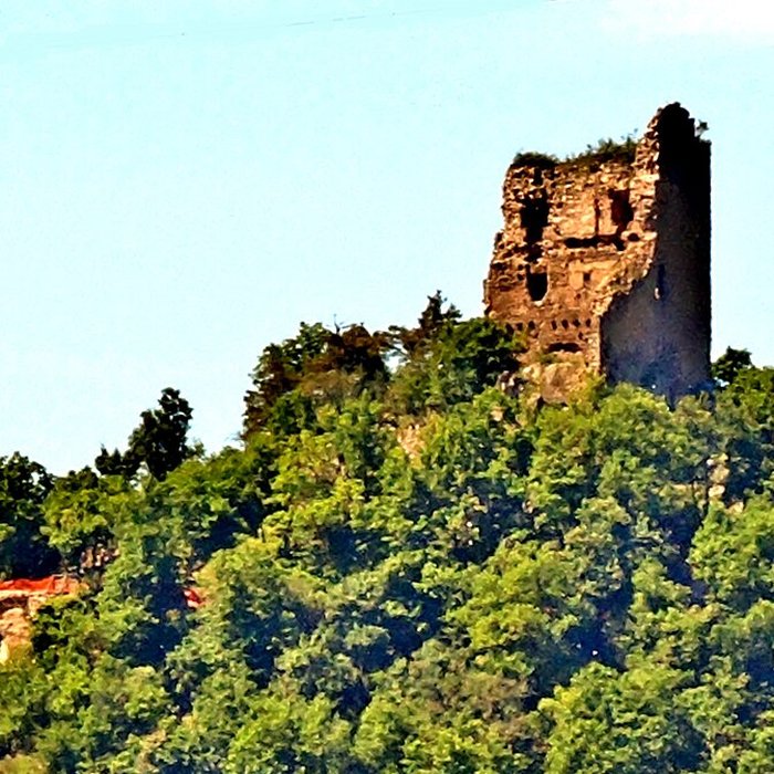 Photo de Ruines des châteaux de Ortenbourg et de Ramstein