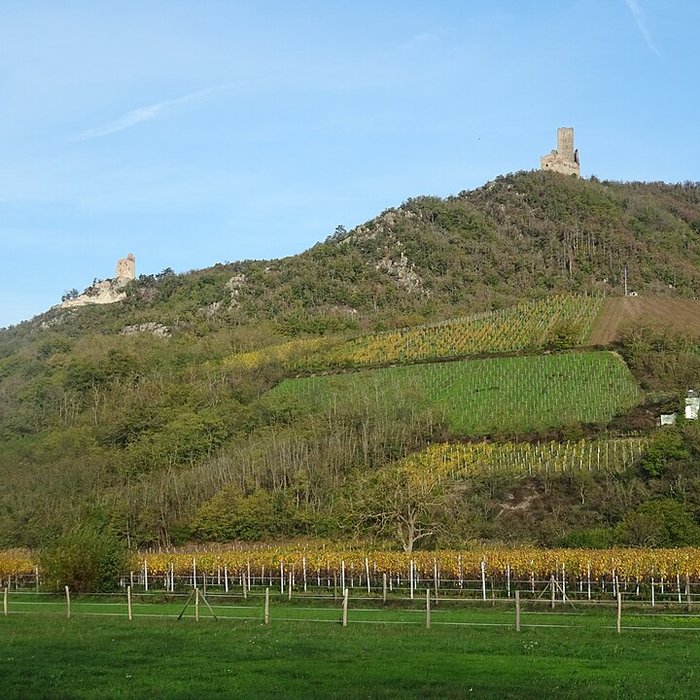 Photo de Ruines des châteaux de Ortenbourg et de Ramstein