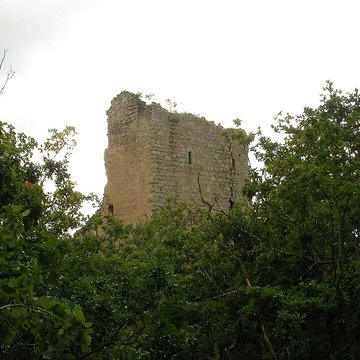 Ruines des châteaux de Ortenbourg et de Ramstein