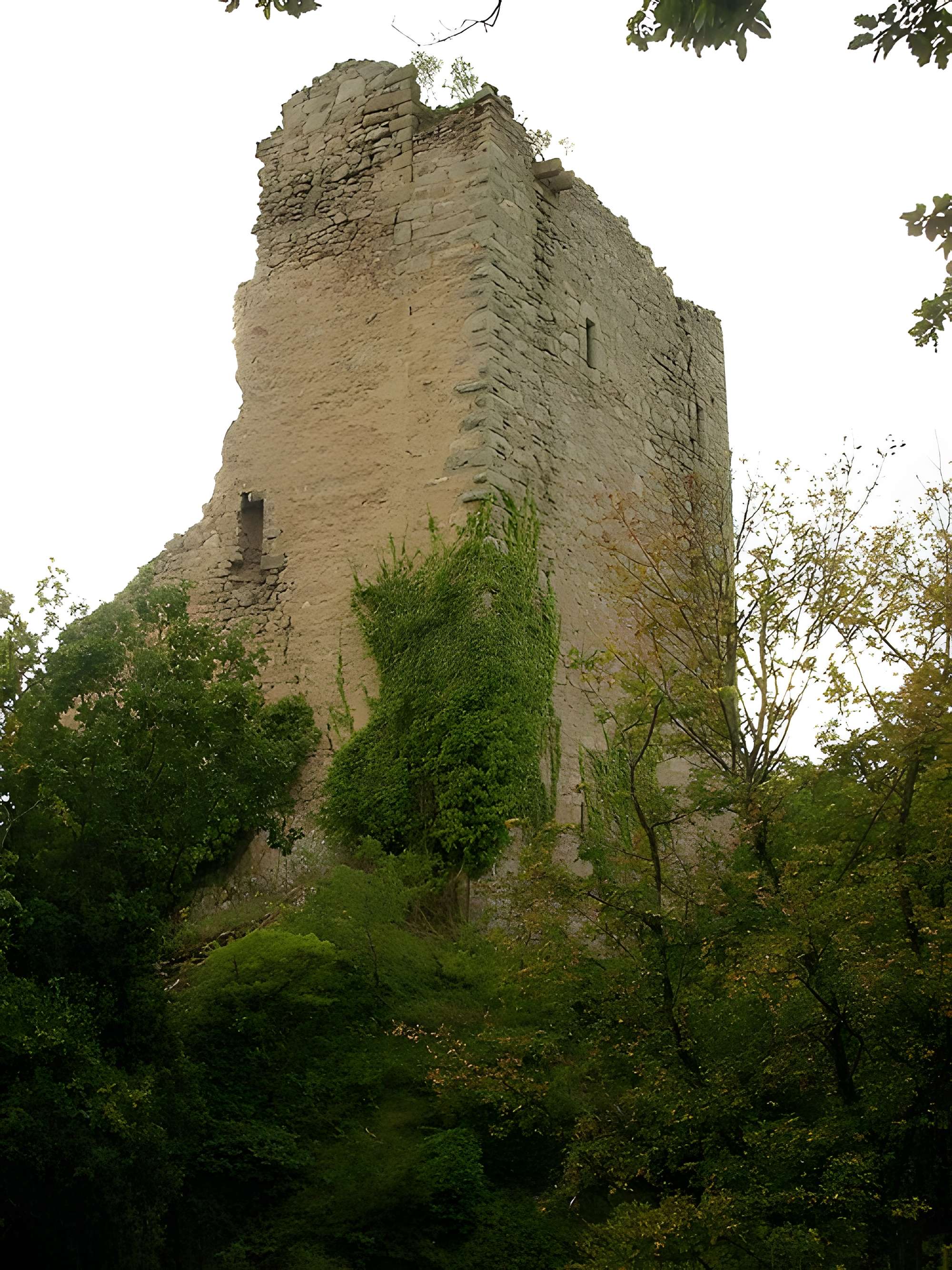 Ruines des châteaux de Ortenbourg et de Ramstein