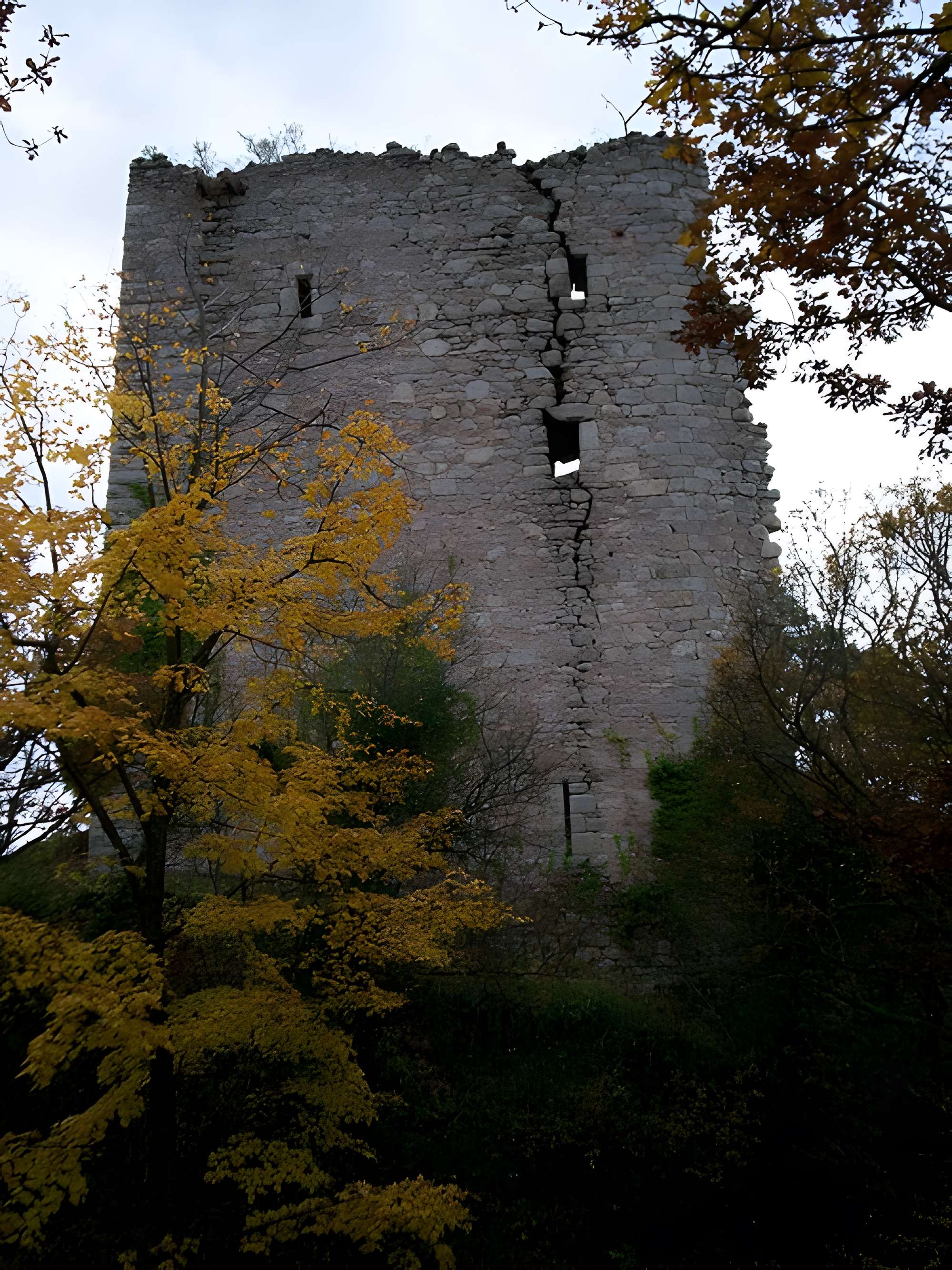 Ruines des châteaux de Ortenbourg et de Ramstein