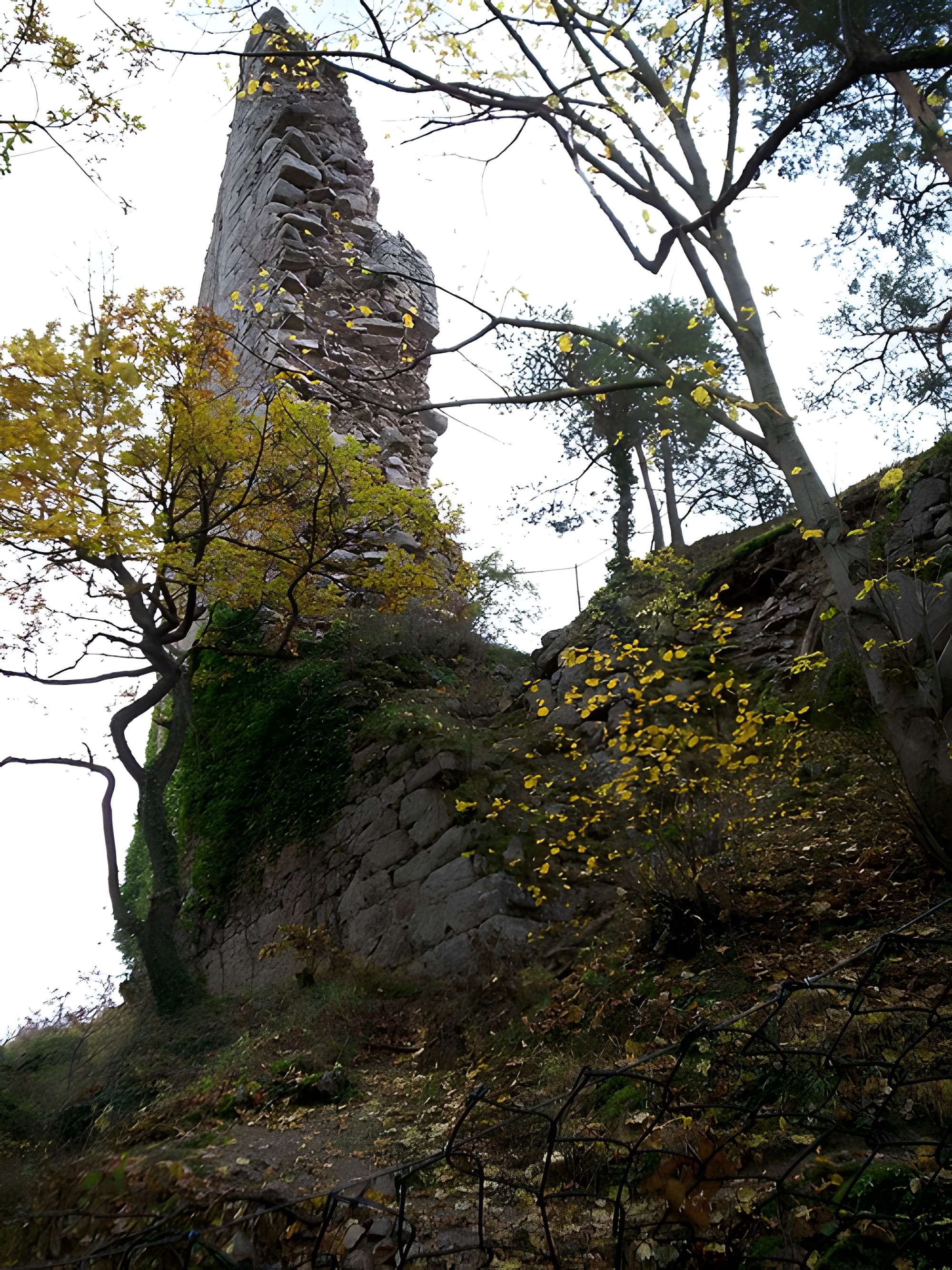 Ruines des châteaux de Ortenbourg et de Ramstein