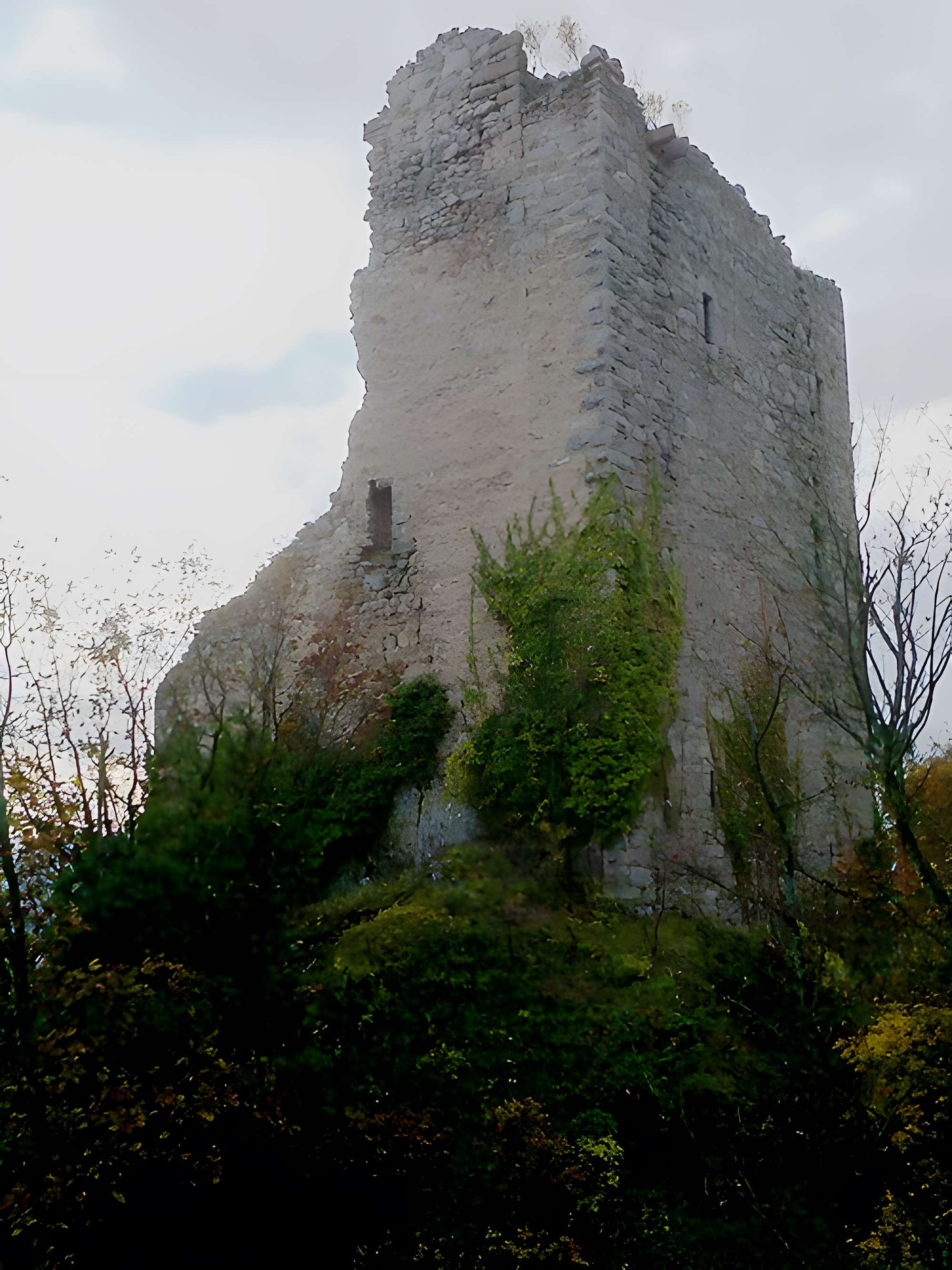 Ruines des châteaux de Ortenbourg et de Ramstein