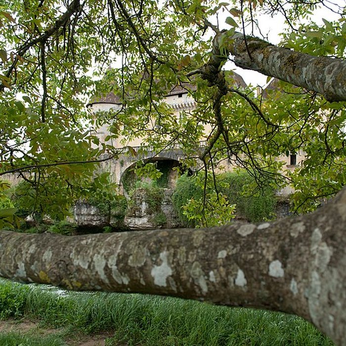 Photo de Château de Losse