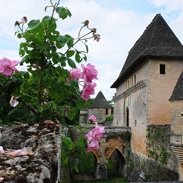 Photo de Château de Losse