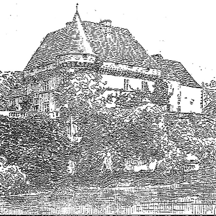 Photo de Château de Losse