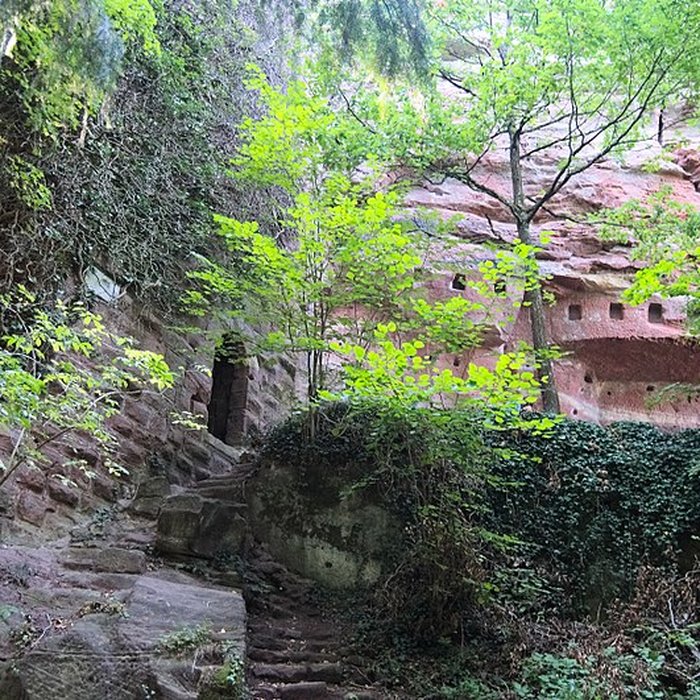 Photo de Château du Vieux-Windstein