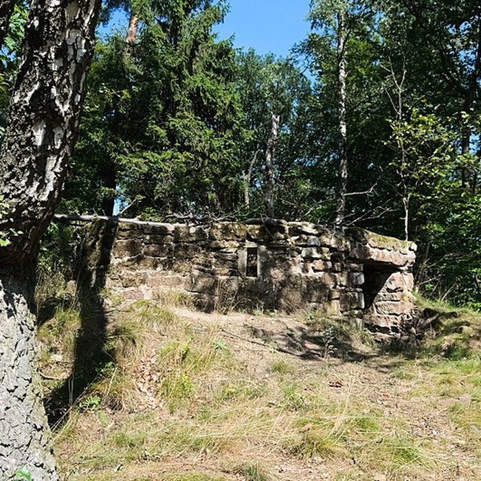 Photo de Château du Vieux-Windstein