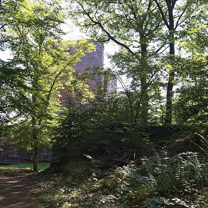 Photo de Château du Vieux-Windstein