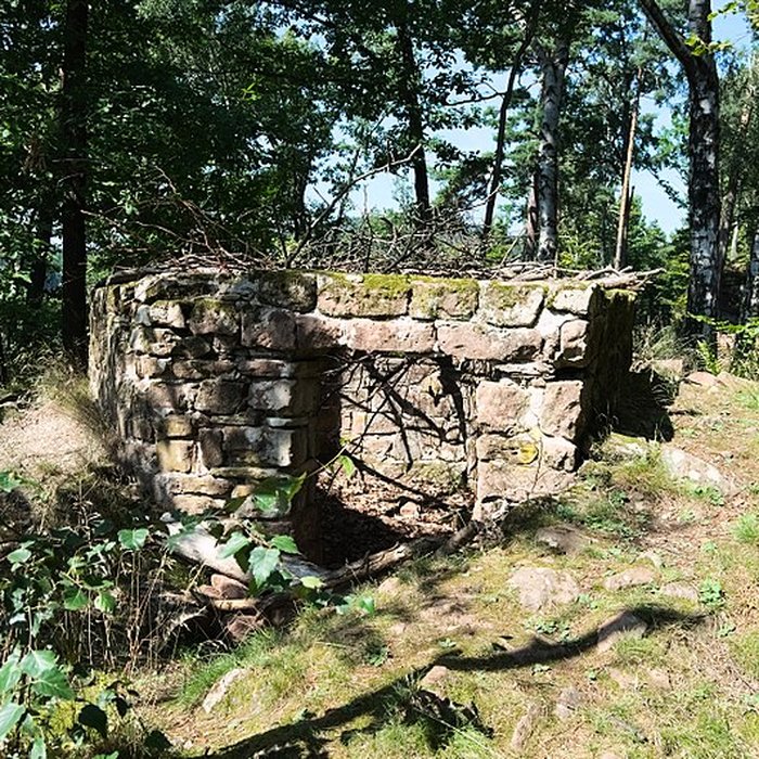 Photo de Château du Vieux-Windstein