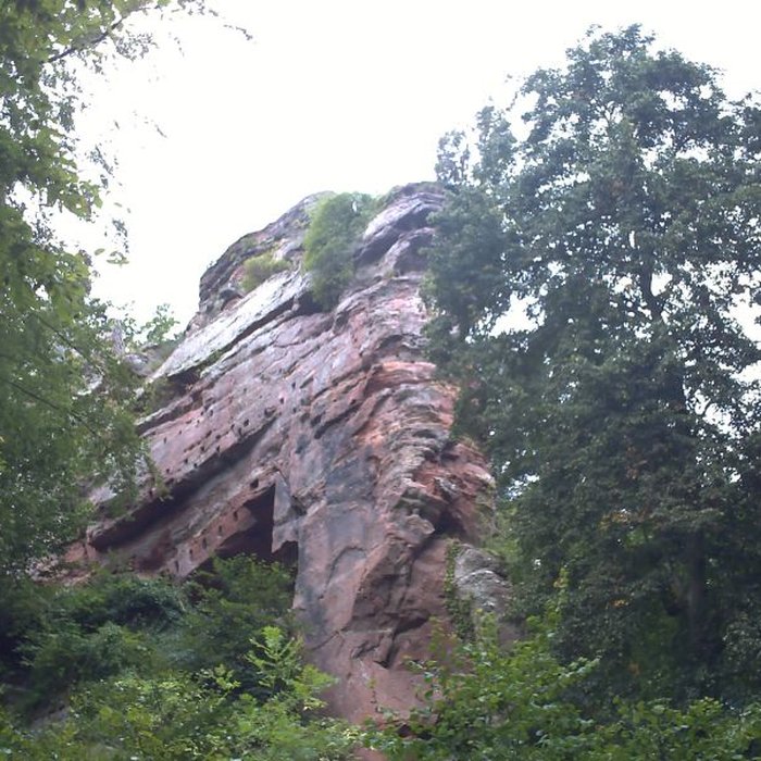 Photo de Château du Vieux-Windstein
