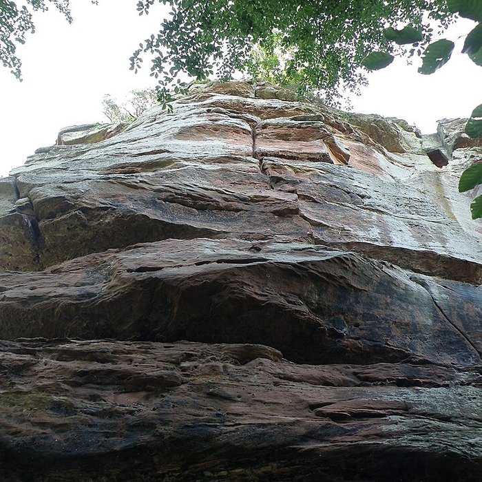 Photo de Château du Vieux-Windstein