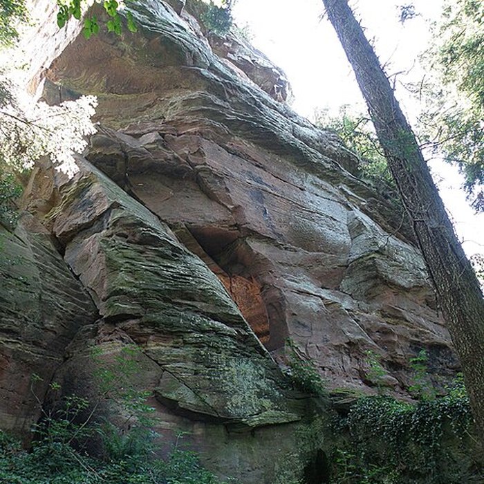 Photo de Château du Vieux-Windstein