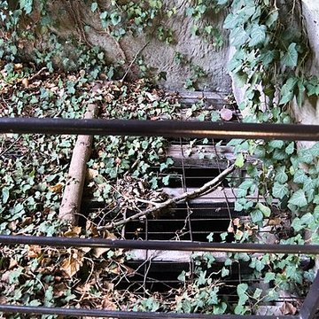 Château du Vieux-Windstein