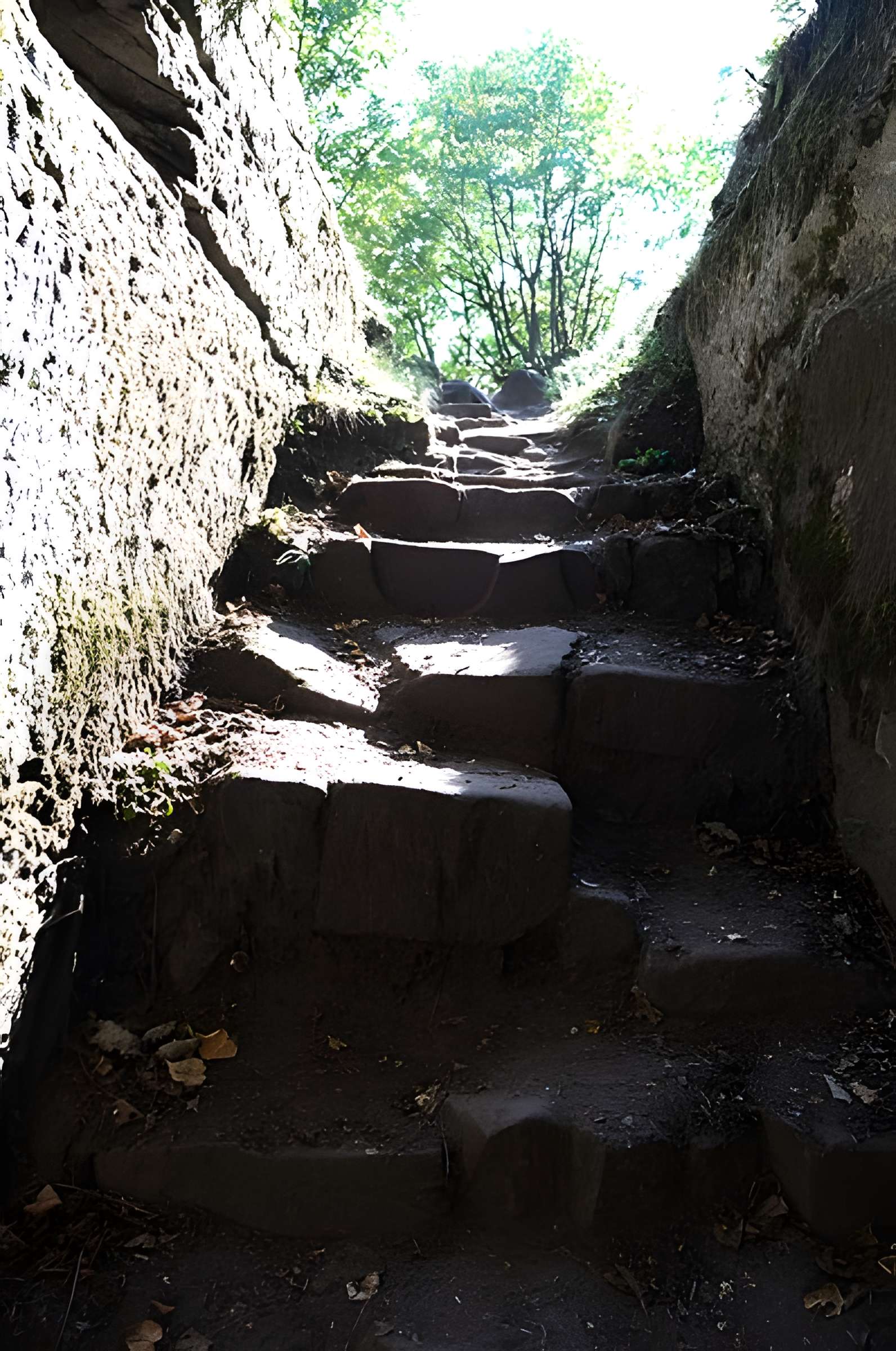 Château du Vieux-Windstein