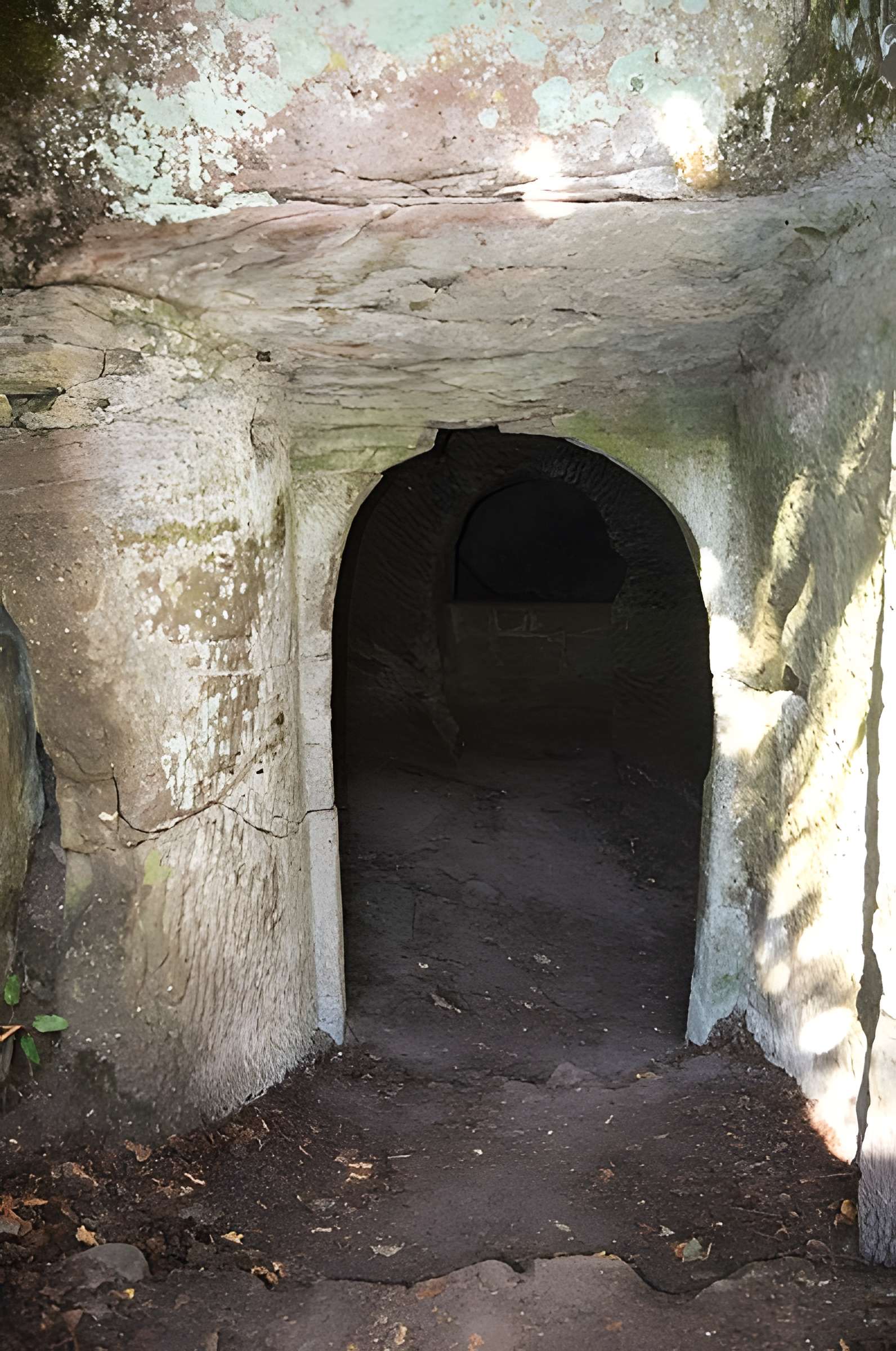 Château du Vieux-Windstein