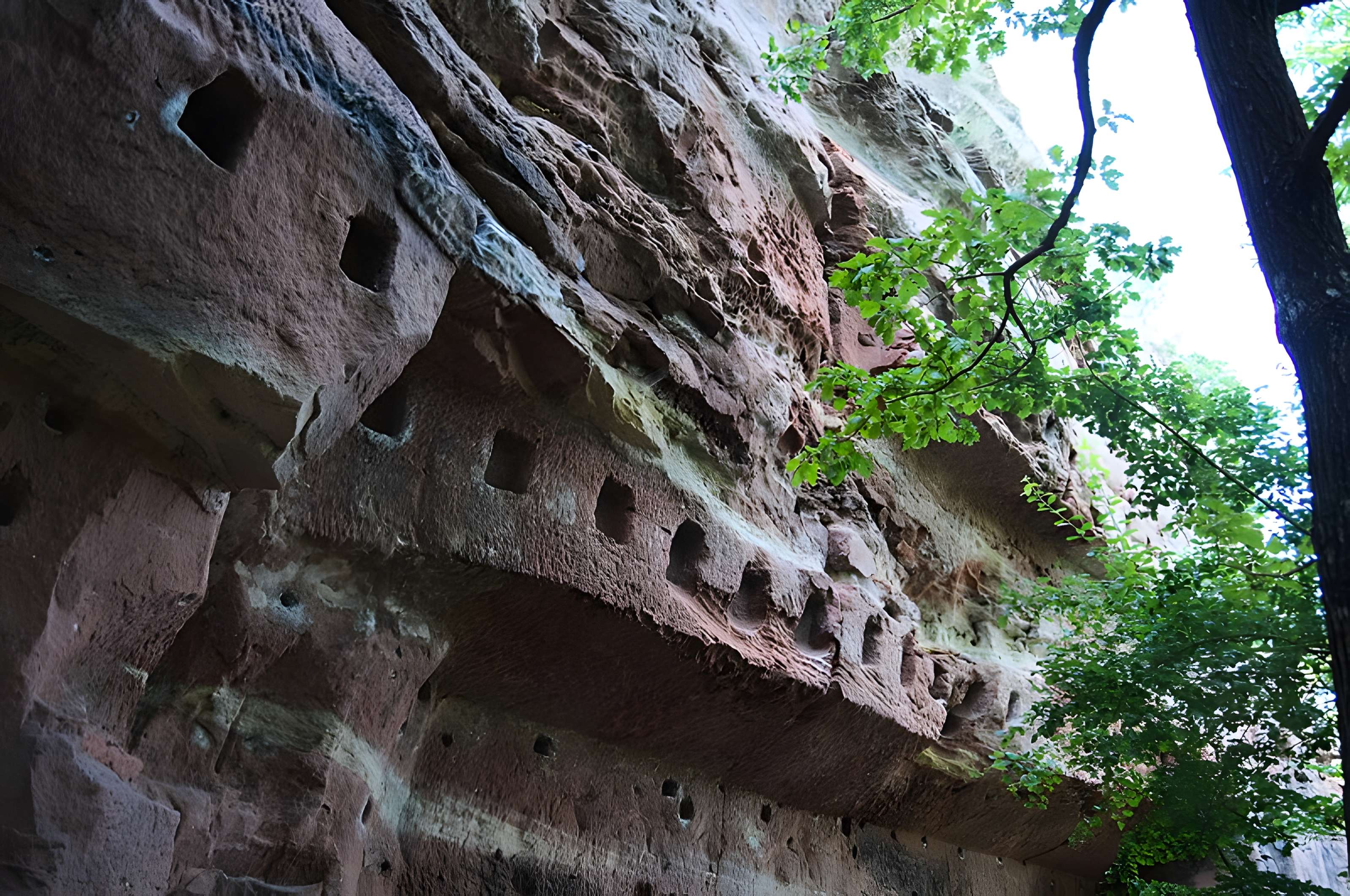 Château du Vieux-Windstein