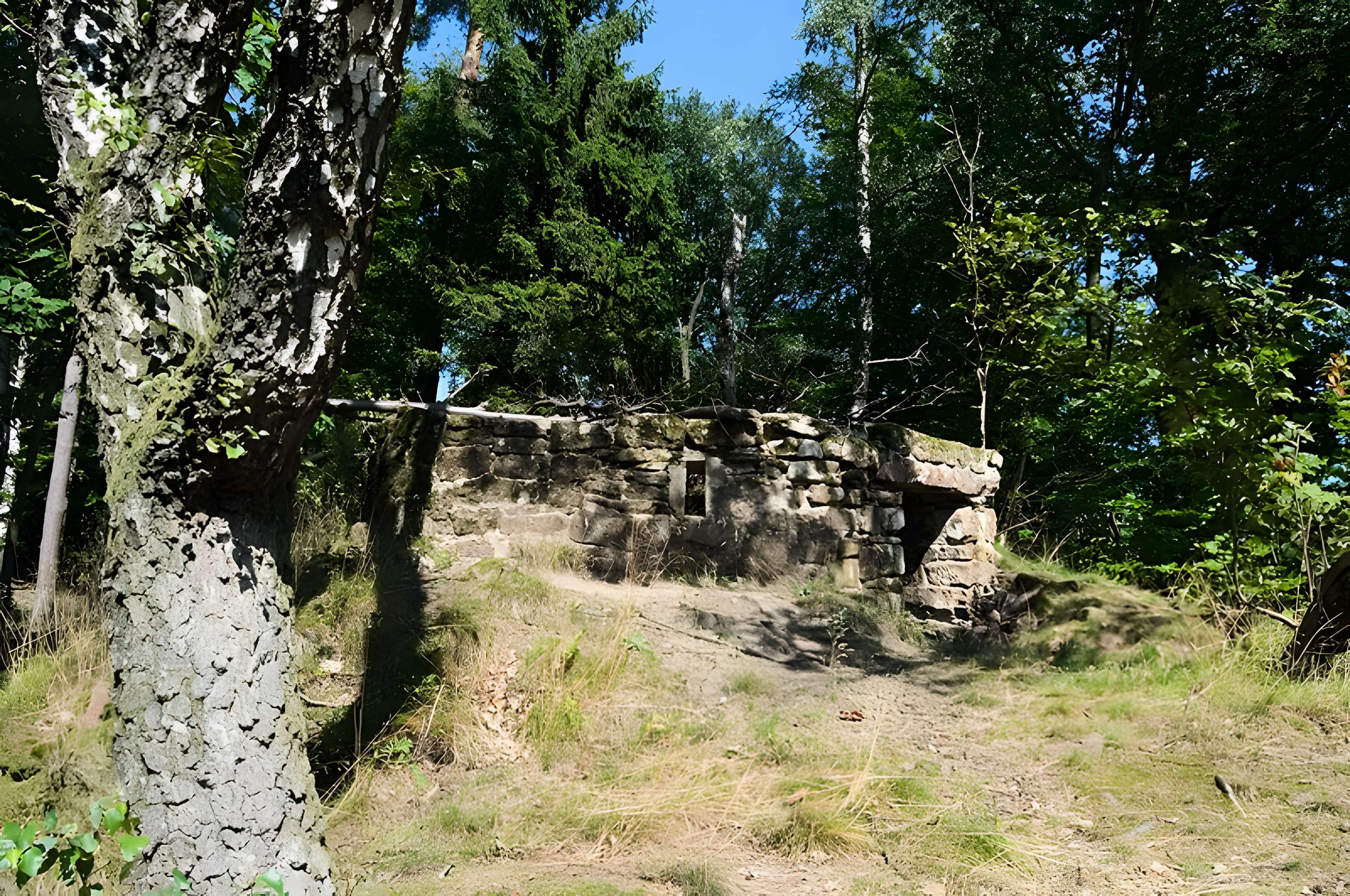 Château du Vieux-Windstein