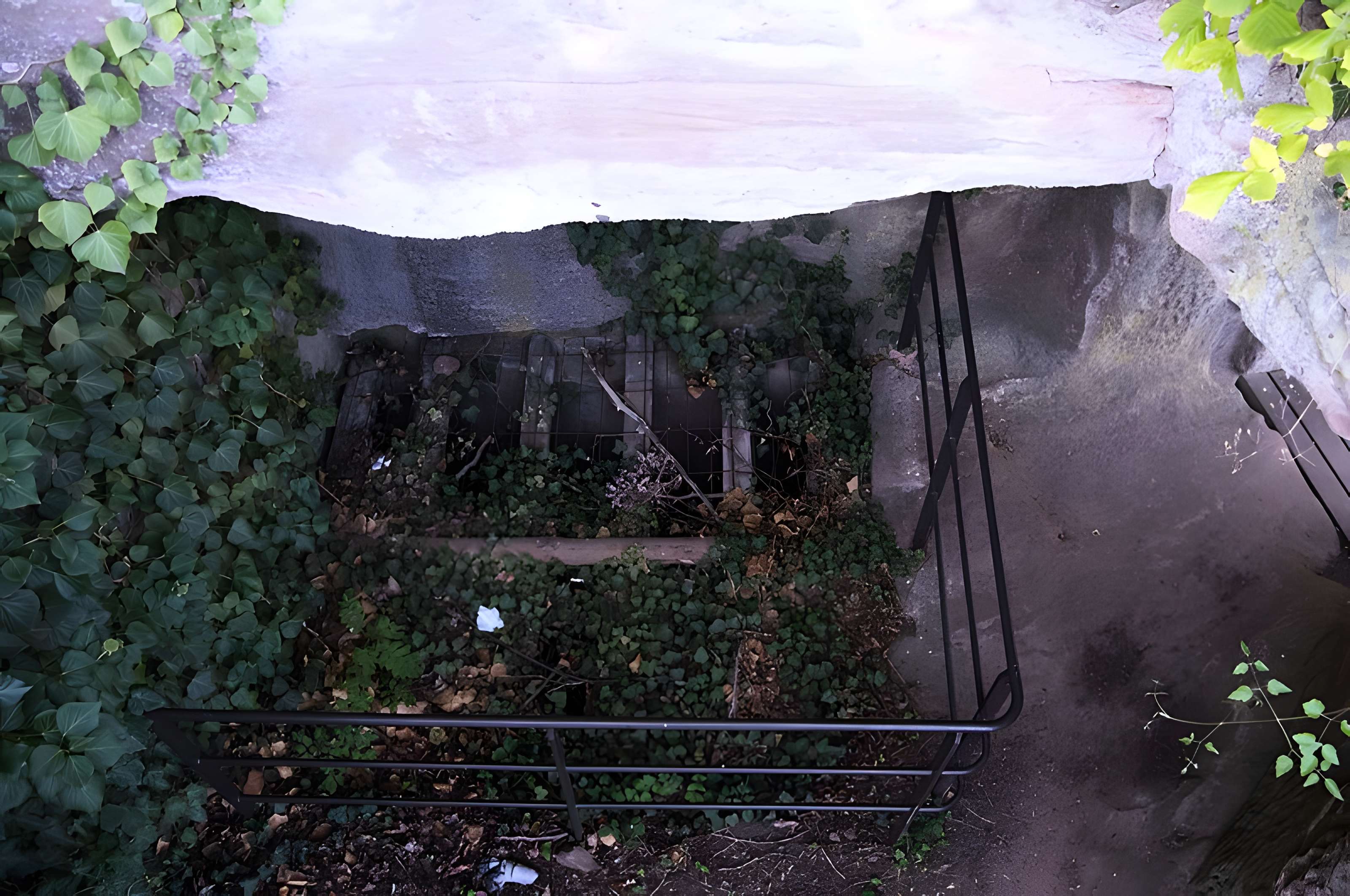 Château du Vieux-Windstein