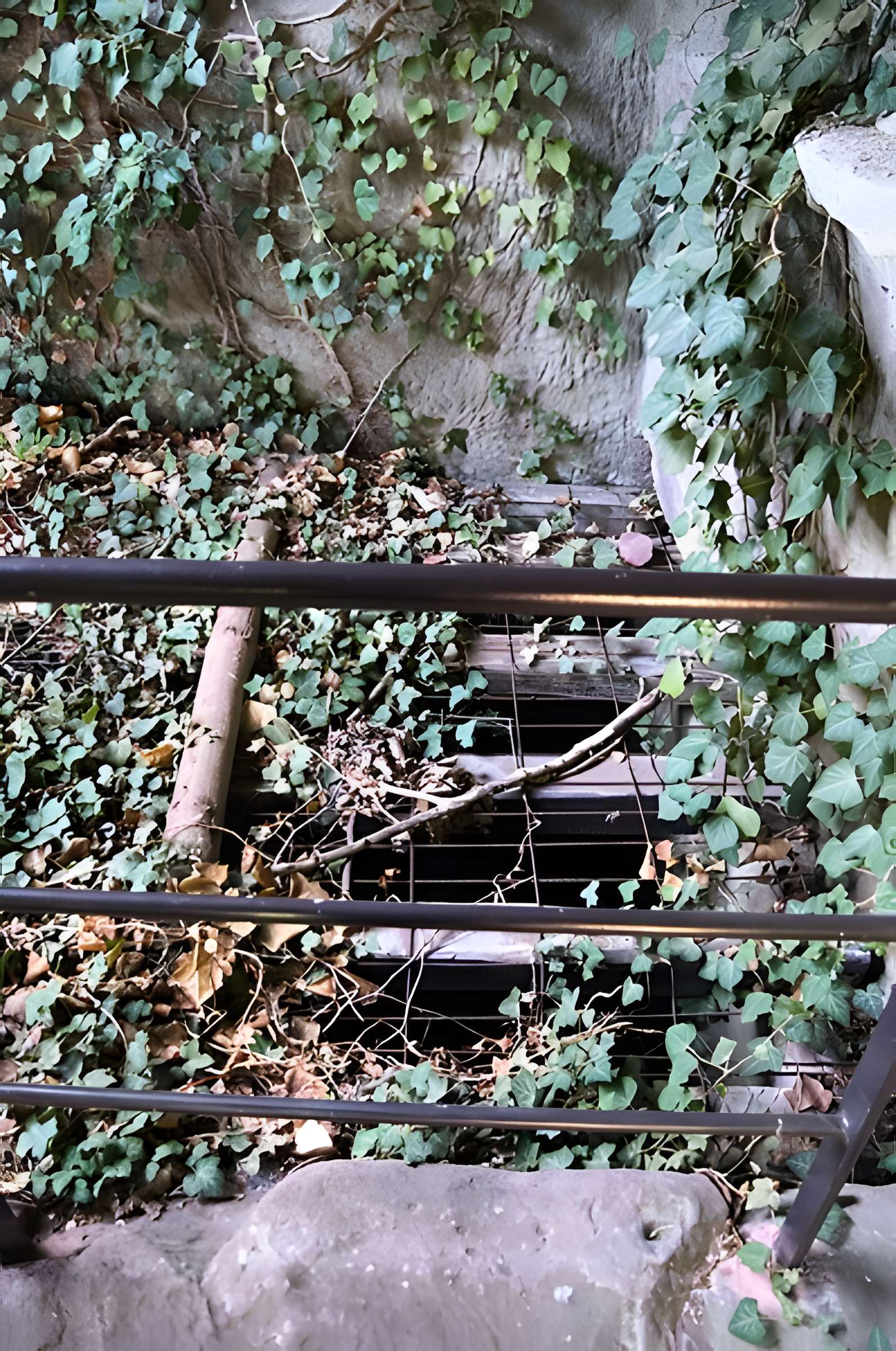 Château du Vieux-Windstein