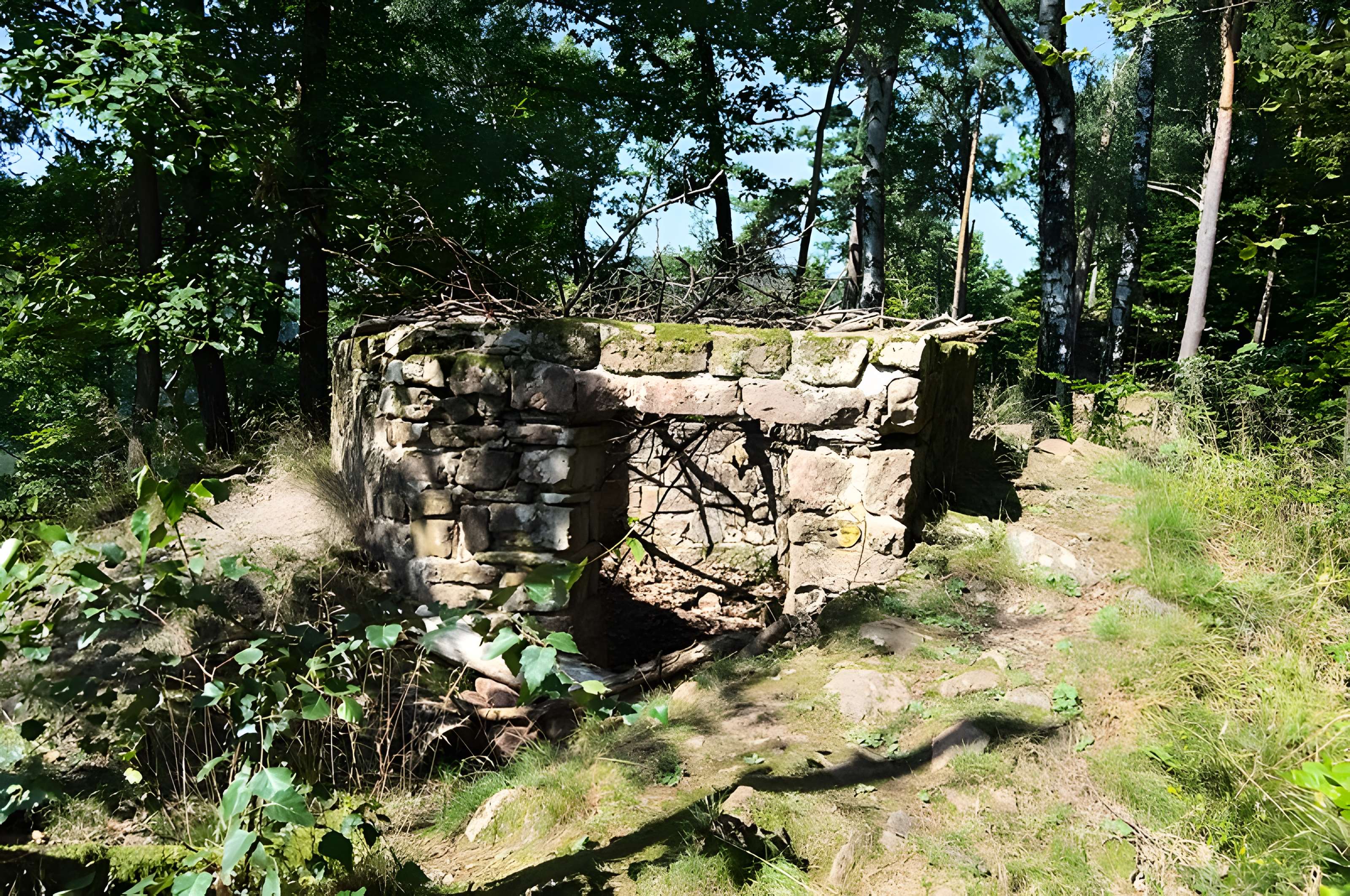 Château du Vieux-Windstein