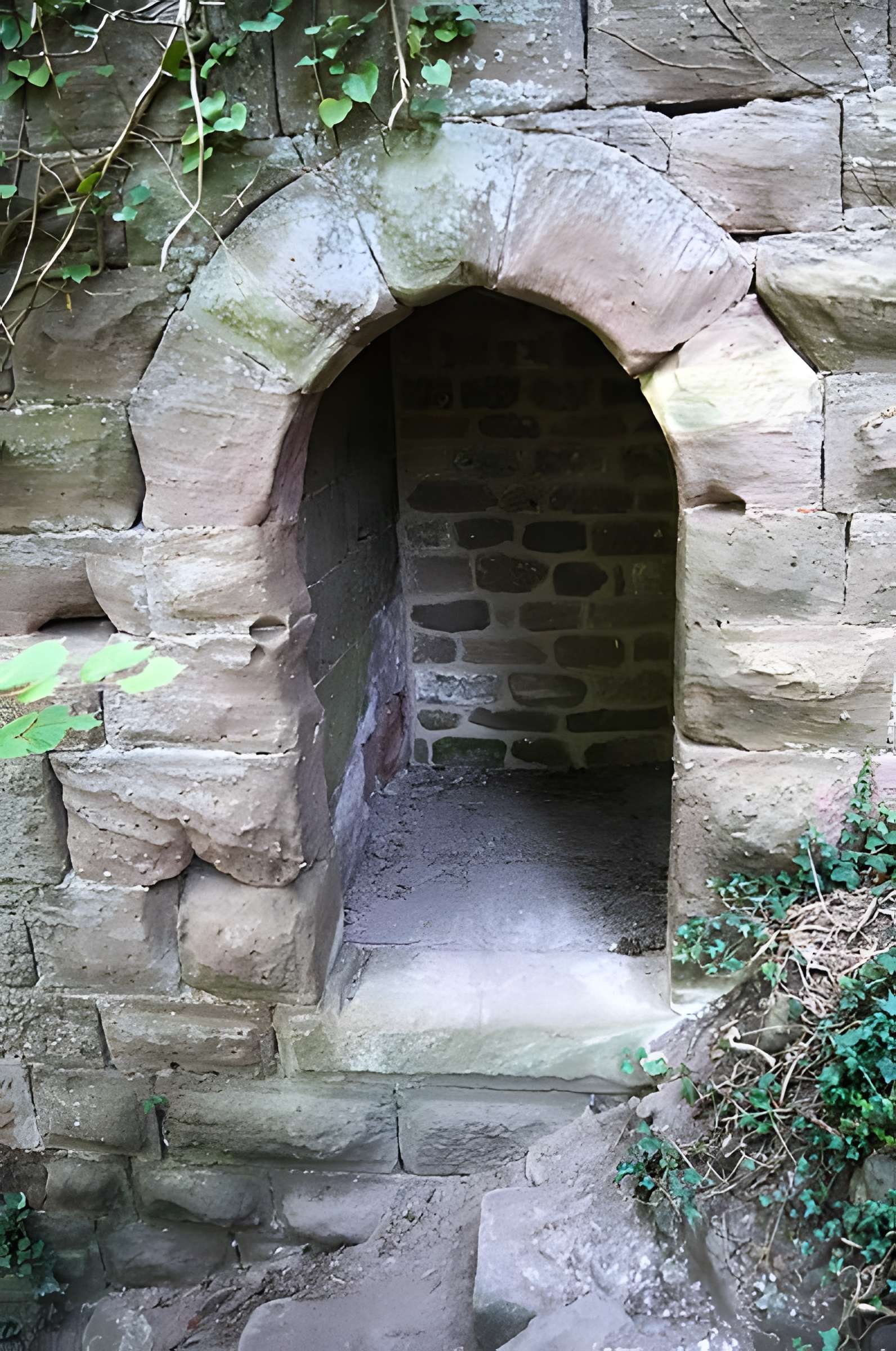 Château du Vieux-Windstein