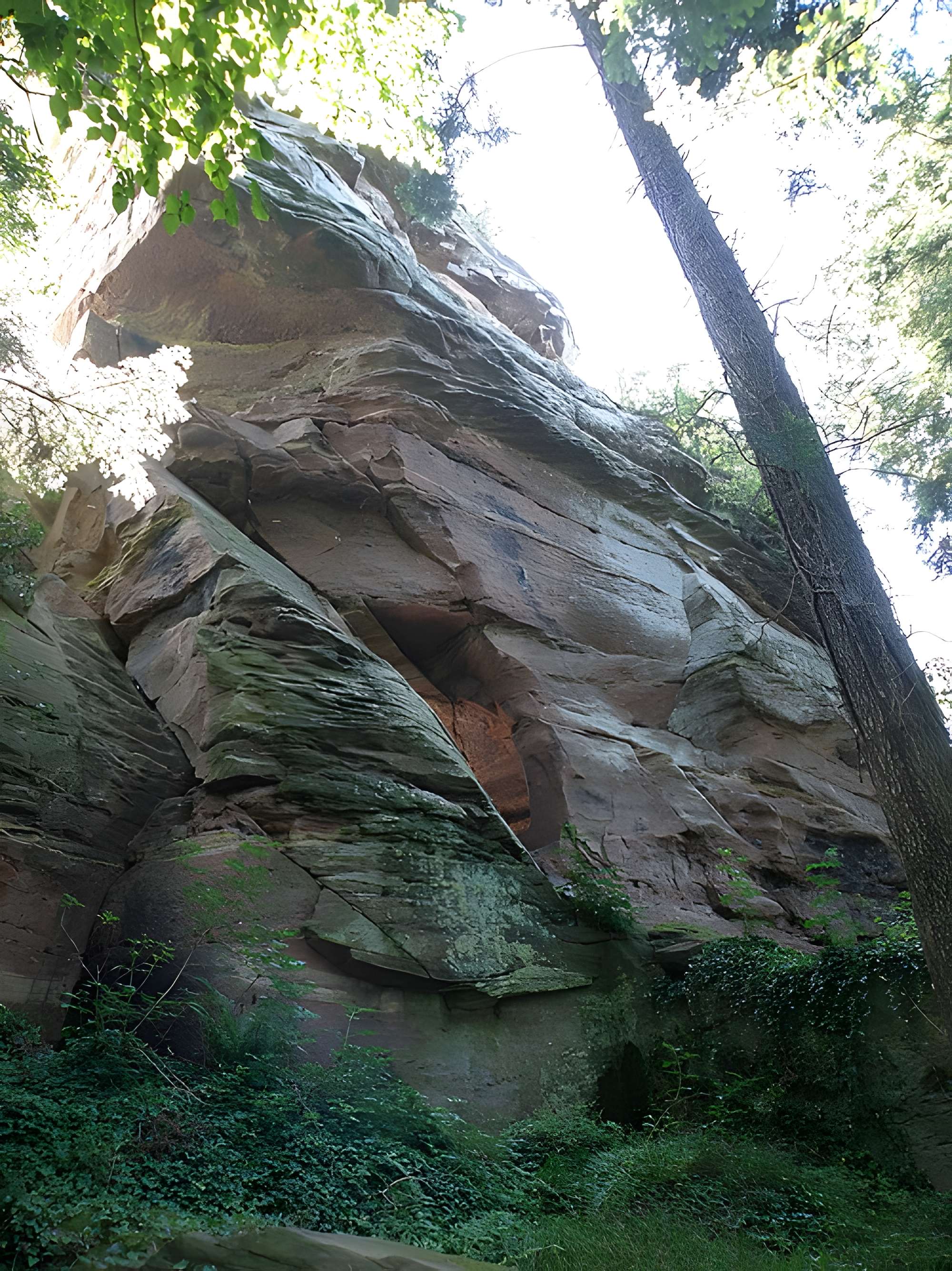 Château du Vieux-Windstein