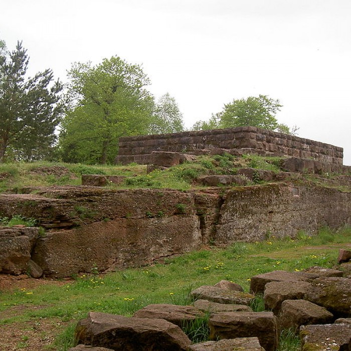 Photo de Château du Warthenberg