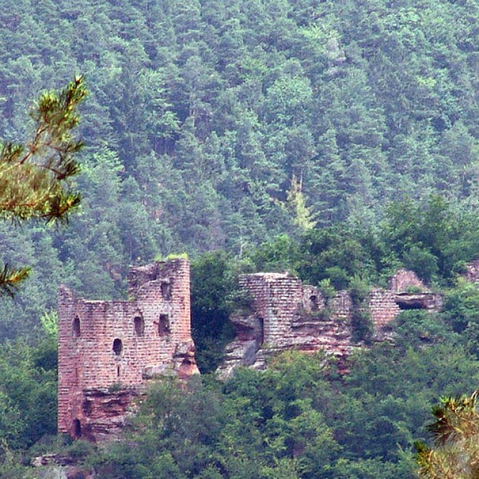 Photo de Ruines du château Wasigenstein