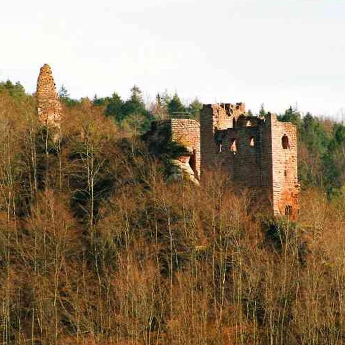 Photo de Ruines du château Wasigenstein