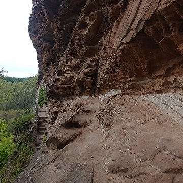 Ruines du château Wasigenstein