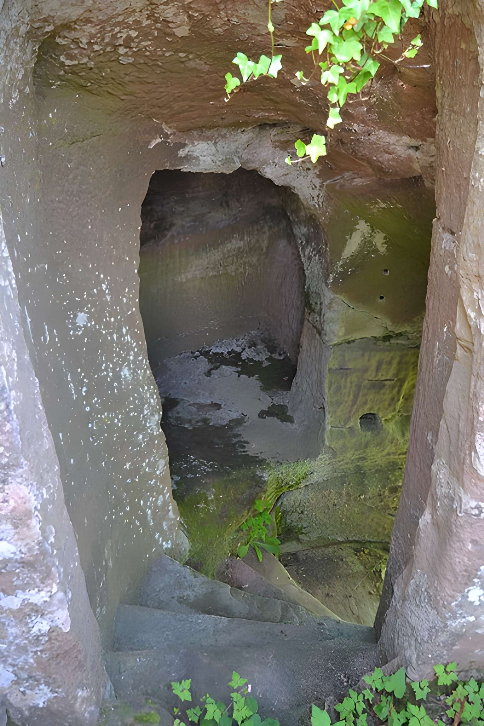 Ruines du château Wasigenstein