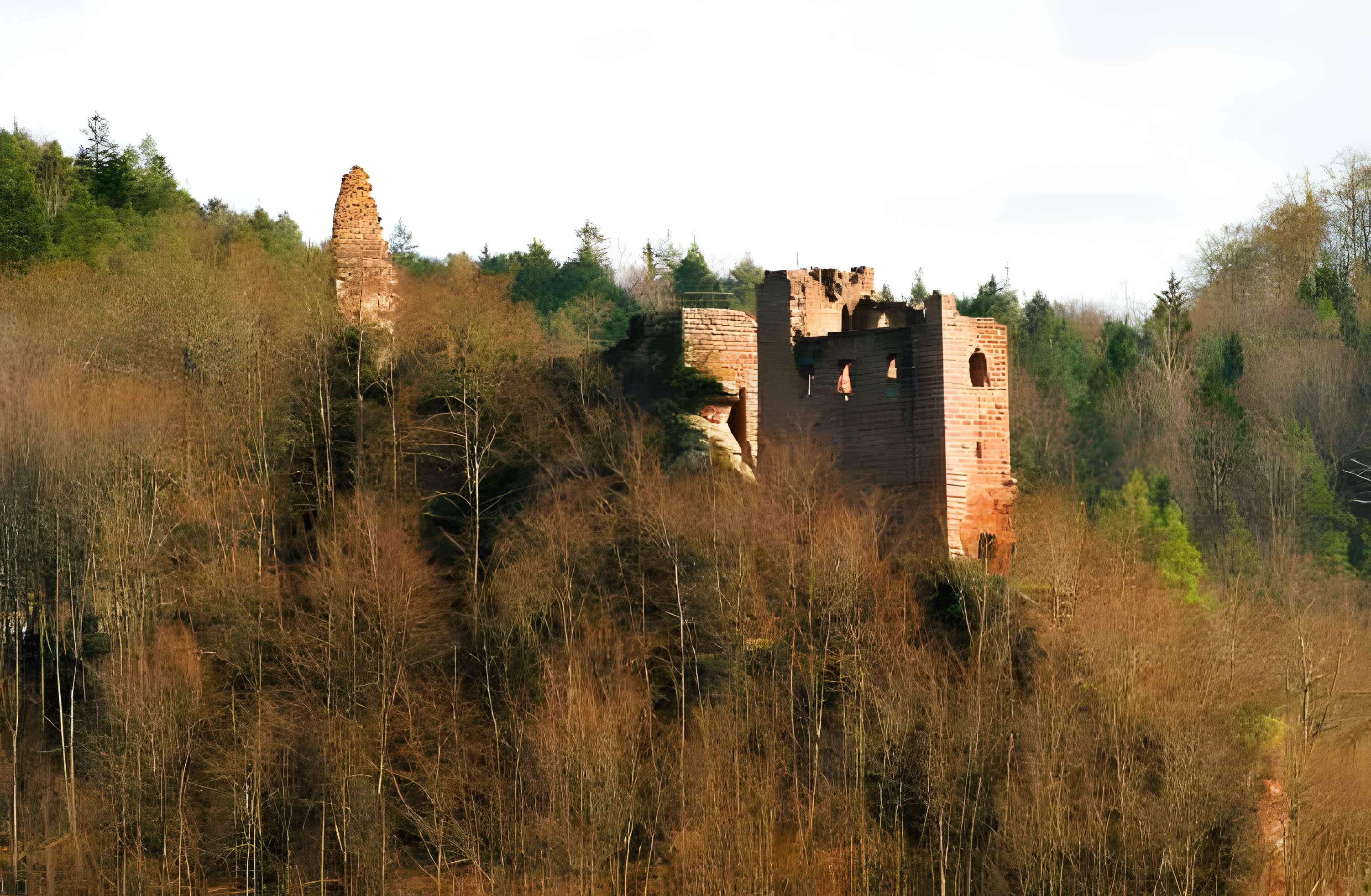 Ruines du château Wasigenstein
