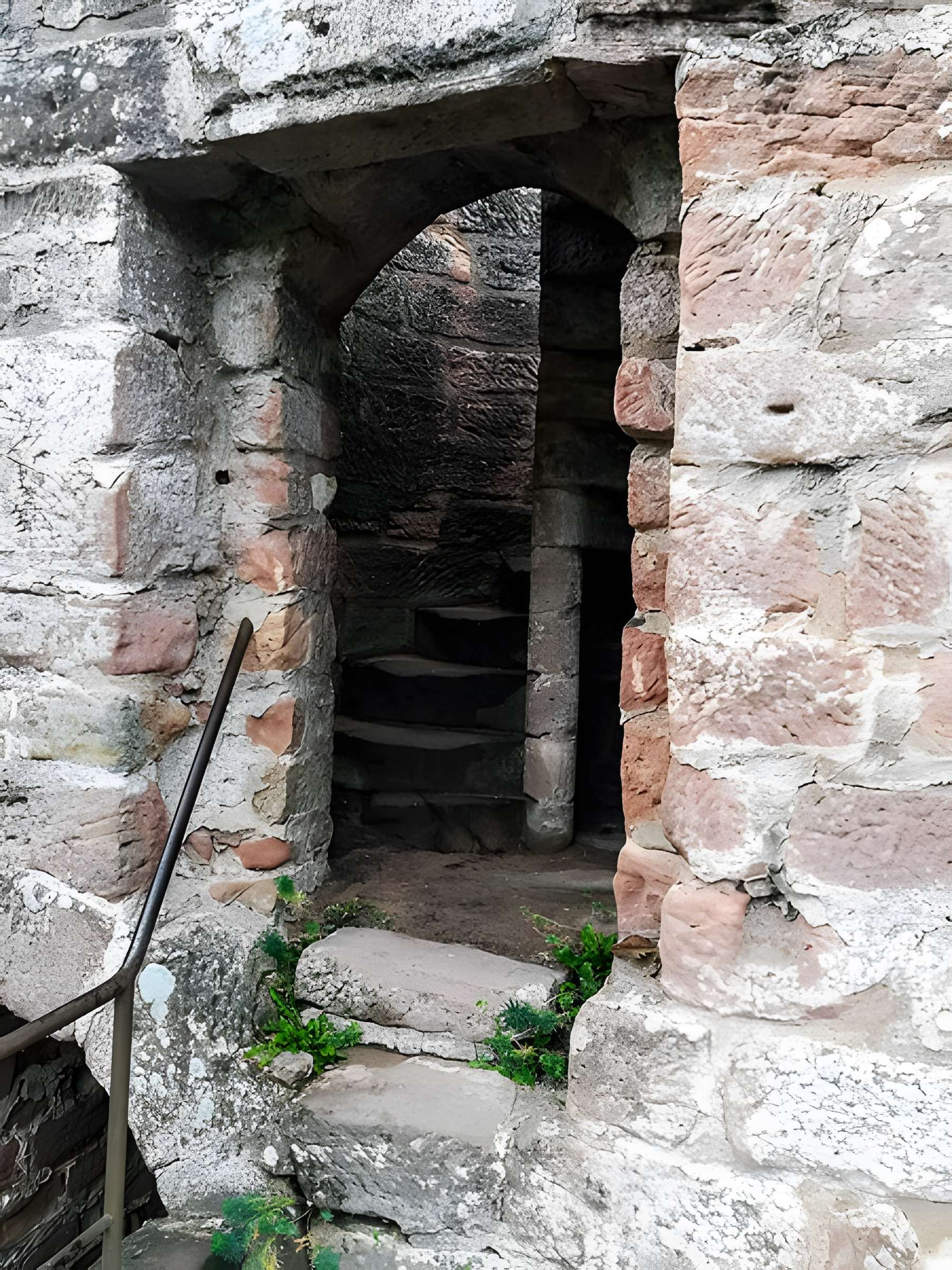 Ruines du château Wasigenstein